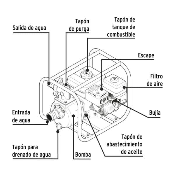 MOTB-3P - Imagen 2